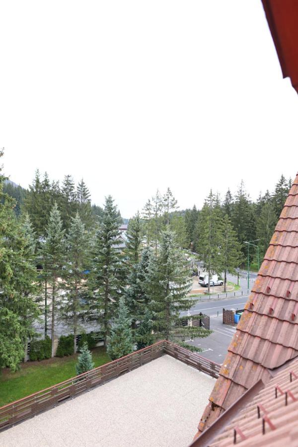 Vila Pinul Si Mesteacanul Poiana Brasov Exterior photo