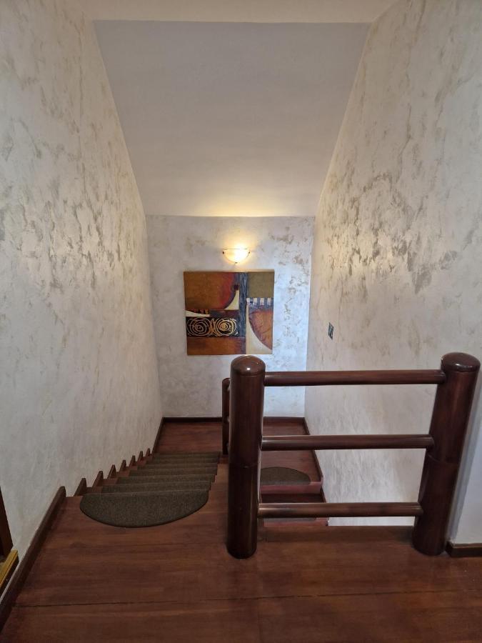 Vila Pinul Si Mesteacanul Poiana Brasov Exterior photo