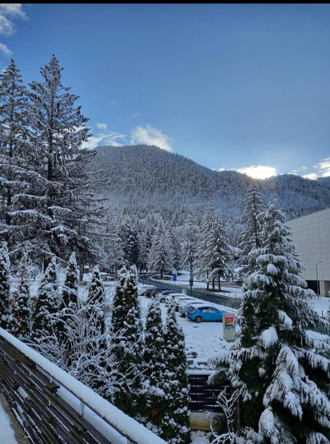 Vila Pinul Si Mesteacanul Poiana Brasov Exterior photo