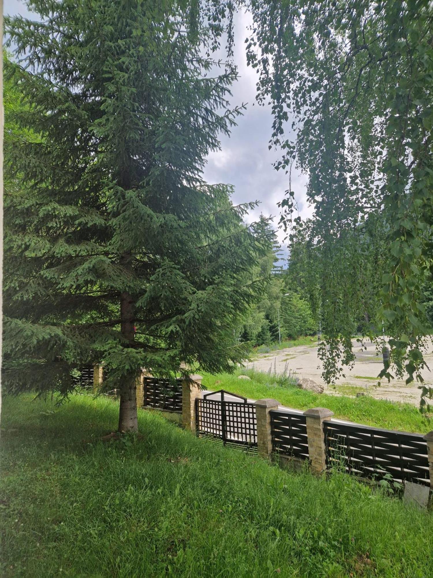Vila Pinul Si Mesteacanul Poiana Brasov Exterior photo