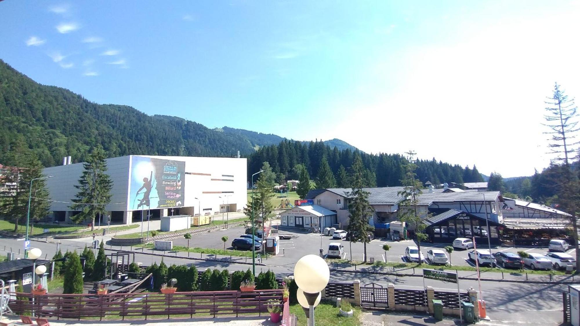 Vila Pinul Si Mesteacanul Poiana Brasov Exterior photo